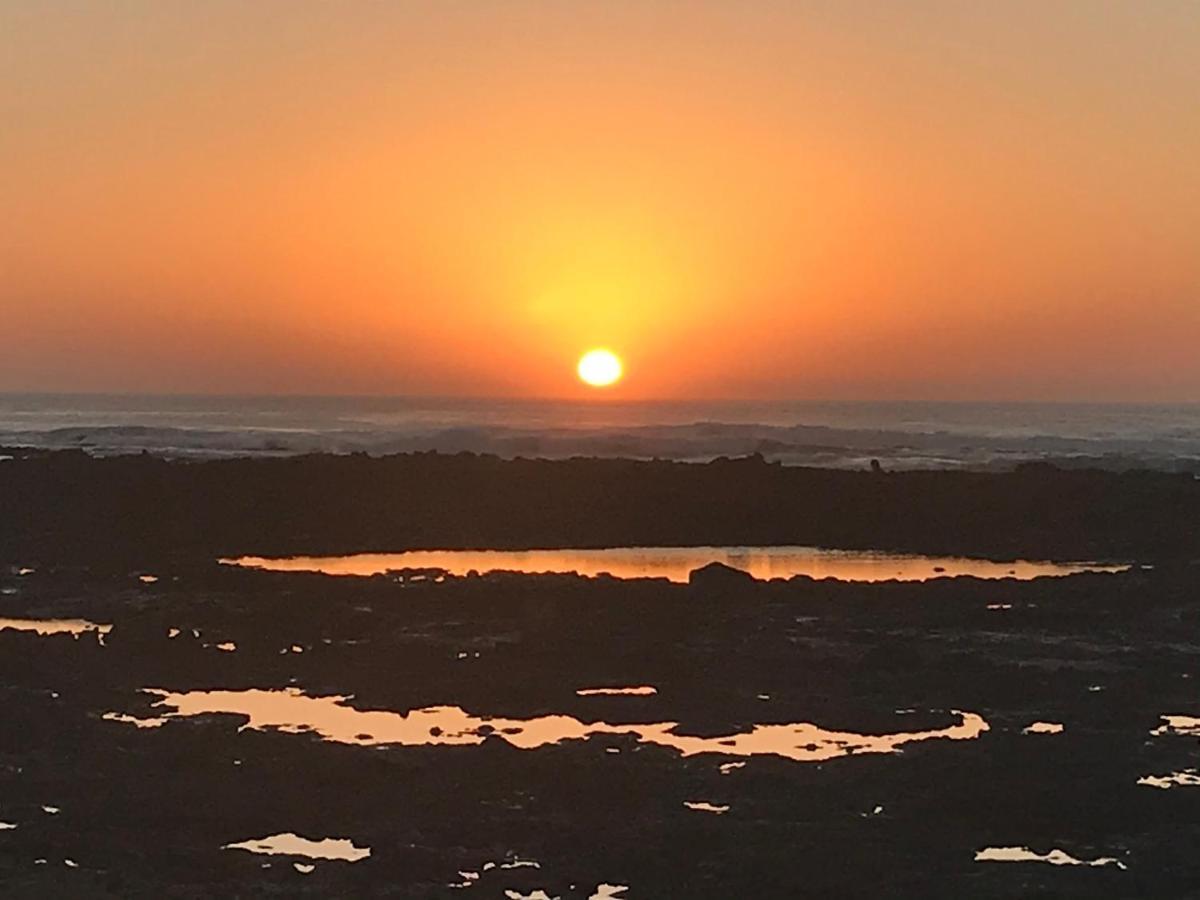 Aguarii Cotillo المظهر الخارجي الصورة