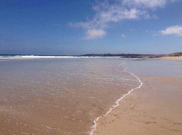 Aguarii Cotillo المظهر الخارجي الصورة
