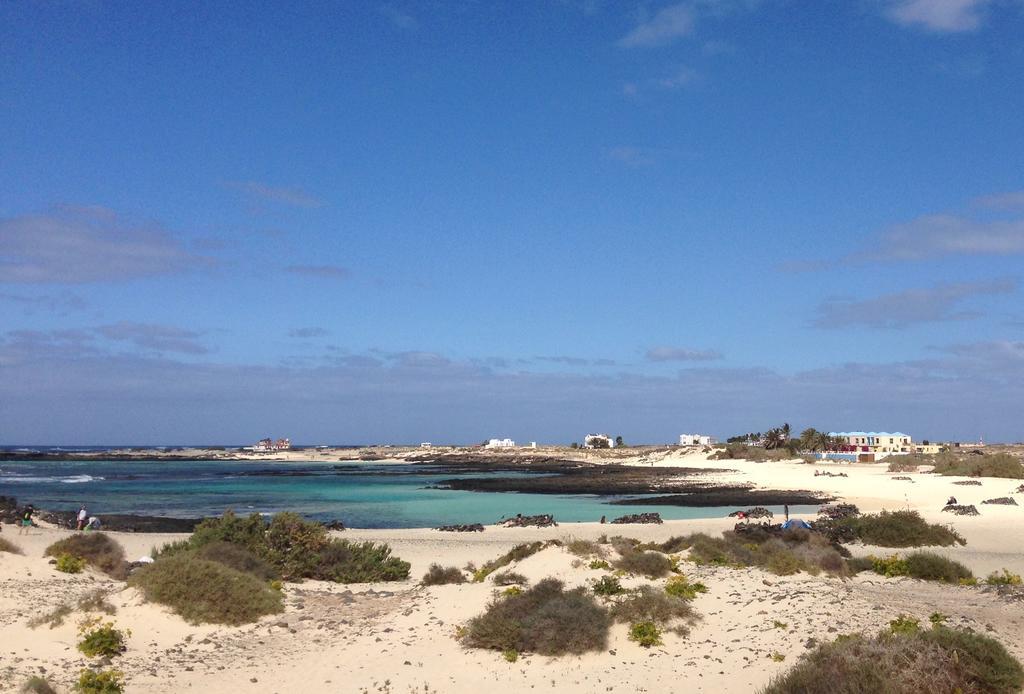 Aguarii Cotillo المظهر الخارجي الصورة